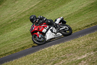 Lower Group Red Bikes